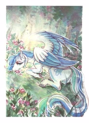 Size: 2386x3272 | Tagged: safe, artist:zerolane, oc, oc only, oc:dashwhite, pegasus, pony, flower, high res, sleeping, solo, traditional art, underhoof, watercolor painting