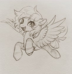 Size: 3355x3422 | Tagged: artist needed, source needed, safe, oc, oc:dashwhite, pegasus, pony, female, flying, high res, looking at you, mare, pegasus oc, sketch, solo, traditional art, unshorn fetlocks