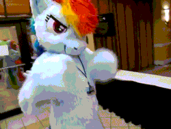 Size: 640x480 | Tagged: safe, artist:spainfischer, applejack, rainbow dash, earth pony, human, pegasus, pony, anthro, g4, 2011, animated, boomerang gif, fursuit, gif, irl, irl human, lanyard, looking at you, loop, megaplex, perfect loop, photo, ponysuit, raised hoof, rearing, smiling, smirk, solo, striking