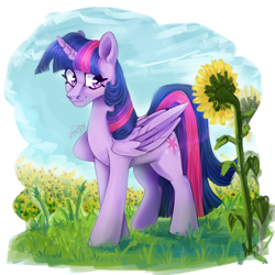Size: 1000x1000 | Tagged: safe, artist:sonyager, twilight sparkle, alicorn, pony, g4, flower, folded wings, grass, grass field, horn, smiling, solo, sunflower, twilight sparkle (alicorn), walking, wings