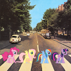 Size: 1334x1325 | Tagged: safe, artist:beatlebrony, fluttershy, pinkie pie, rainbow dash, twilight sparkle, earth pony, pegasus, pony, unicorn, g4, abbey road, album cover, female, mare, profile, the beatles, unicorn twilight