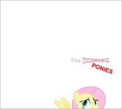 Size: 2102x1879 | Tagged: safe, artist:beatlebrony, fluttershy, pegasus, pony, g4, album cover, female, mare, solo, the beatles, the white album