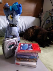 Size: 1536x2048 | Tagged: artist needed, safe, oc, oc only, oc:proffy floyd, cat, pony, cassette player, collar, compact cassette, cool, cute, earbuds, irl, male, photo, plushie, sony, stallion, toy, walkman