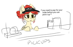Size: 1245x810 | Tagged: safe, oc, oc only, oc:wah wah, pegasus, pony, cash register, simple background, solo, wawa, white background, working