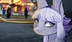 Size: 745x438 | Tagged: safe, artist:sararini, oc, oc only, pony, disaster girl, fire, meme, solo