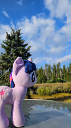 Size: 665x1200 | Tagged: safe, artist:sepiakeys, twilight sparkle, pony, g4, irl, photo, plushie, solo