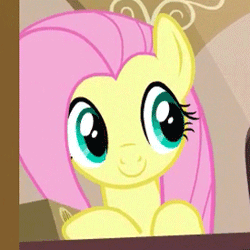 Size: 275x275 | Tagged: safe, screencap, fluttershy, pony, g4, animated, blinking, cute, gif, shyabetes, solo