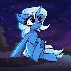 Size: 2000x2000 | Tagged: safe, artist:jubyskylines, trixie, pony, unicorn, g4, big ears, chest fluff, ear fluff, female, grass, high res, horn, looking up, mare, night, night sky, outdoors, sitting, sky, smiling, stars, underhoof