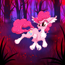Size: 2500x2500 | Tagged: safe, artist:rurihal, pinkie pie, earth pony, hengstwolf, pony, werewolf, wolf, wolf pony, g4, chest fluff, claws, fangs, female, floppy ears, full moon, halloween, high res, holiday, moon, night, nightmare night, paws