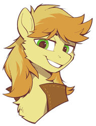 Size: 1503x1963 | Tagged: safe, artist:breloomsgarden, braeburn, earth pony, pony, g4, bust, grin, hatless, icon, looking at you, male, missing accessory, portrait, smiling, smiling at you, solo, stallion