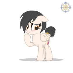 Size: 3000x3000 | Tagged: safe, artist:r4hucksake, oc, oc only, oc:dreamcatcher, pegasus, pony, female, high res, mare, simple background, solo, transparent background