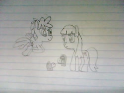 Size: 640x480 | Tagged: safe, artist:arts48, earth pony, pegasus, pony, g4, bellina, bello, dodo (jelly jamm), dreamworks face, female, flying, frown, grayscale, jammbonian, jammbonian pony, jelly jamm, lined paper, male, mare, mina (jelly jamm), monochrome, ponified, rule 85, scrapbook, shipping, smiling, stallion, straight, traditional art, varying degrees of amusement