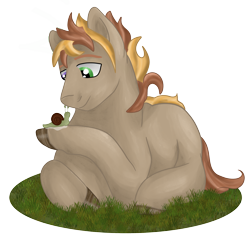 Size: 2519x2428 | Tagged: safe, artist:loopina, oc, oc only, oc:caramel, earth pony, pony, snail, cute, grass, heterochromia, high res, lying, male, poctober, simple background, solo, stallion, transparent background