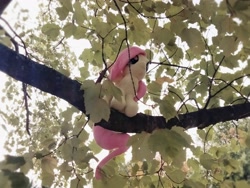 Size: 4096x3072 | Tagged: safe, artist:natsnaps, fluttershy, pegasus, pony, g4, irl, leaves, outdoors, photo, plushie, solo, tree, tree branch