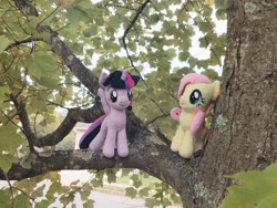 Size: 4096x3072 | Tagged: safe, artist:natsnaps, fluttershy, twilight sparkle, alicorn, pegasus, pony, g4, duo, irl, leaves, outdoors, photo, plushie, tree, tree branch, twilight sparkle (alicorn)