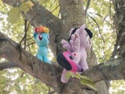 Size: 3330x2498 | Tagged: safe, artist:natsnaps, rainbow dash, twilight sparkle, alicorn, pegasus, pony, g4, duo, high res, irl, leaves, menacing, outdoors, photo, plushie, tree, tree branch, twilight sparkle (alicorn)