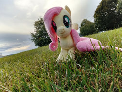 Size: 4096x3072 | Tagged: safe, artist:natsnaps, fluttershy, pegasus, pony, g4, cloud, cloudy, grass, grass field, irl, outdoors, photo, plushie, sky, solo, tree