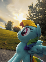 Size: 3072x4096 | Tagged: safe, artist:natsnaps, rainbow dash, pegasus, pony, g4, cloud, cloudy, grass, grass field, irl, majestic as fuck, outdoors, photo, plushie, sky, solo, sunset, tree