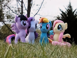 Size: 3014x2260 | Tagged: safe, artist:natsnaps, fluttershy, rainbow dash, rarity, twilight sparkle, alicorn, pegasus, pony, unicorn, g4, grass, grass field, group, group picture, group shot, high res, irl, outdoors, photo, plushie, sky, tree, twilight sparkle (alicorn)