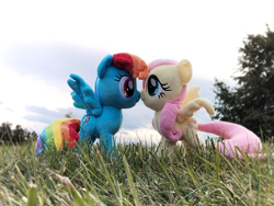 Size: 4096x3072 | Tagged: safe, artist:natsnaps, fluttershy, rainbow dash, pegasus, pony, g4, cloud, cloudy, female, grass, grass field, irl, kiss on the lips, kissing, lesbian, outdoors, photo, plushie, ship:flutterdash, shipping, sky, tree
