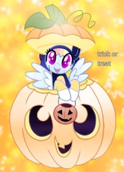 Size: 758x1054 | Tagged: safe, artist:alan-the-animeartist, rainbow dash, pegasus, pony, g4, female, halloween, holiday, pumpkin, pumpkin bucket, solo
