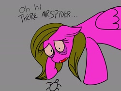 Size: 2160x1620 | Tagged: safe, artist:derpynox, fluttershy, oc, oc:flupper, pegasus, pony, spider, g4, high, recolor