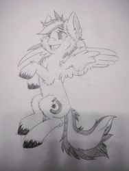 Size: 3000x4000 | Tagged: safe, artist:annuthecatgirl, oc, oc:anti-lag, pegasus, pony, sketch, solo, traditional art