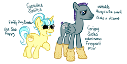 Size: 4000x2037 | Tagged: safe, artist:wtfponytime, oc, oc only, oc:genuine smiles, oc:grippy socks, pegasus, pony, unicorn, clothes, concept art, creepy, creepy smile, damaged wing, grippy socks, simple background, smiling, socks, text, uncanny valley, white background