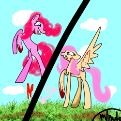 Size: 1000x1000 | Tagged: safe, artist:cakierblx, fluttershy, pinkie pie, earth pony, pegasus, pony, smile hd, g4, 1000 hours in ms paint, female, smiling, split screen, two sides