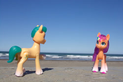 Size: 1095x730 | Tagged: safe, artist:dingopatagonico, hitch trailblazer, sunny starscout, earth pony, pony, g5, argentina, beach, butt, duo, duo male and female, female, irl, male, mane stripe sunny, photo, plot, toy