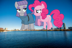 Size: 1600x1067 | Tagged: safe, anonymous editor, artist:cencerberon, artist:dashiesparkle, edit, maud pie, pinkie pie, earth pony, pony, g4, boston, duo, female, giant pony, giantess, highrise ponies, irl, macro, mare, massachusetts, photo, pie sisters, ponies in real life, siblings, sisters, smiling, story included, when she smiles