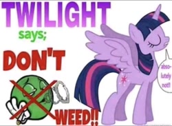 Size: 1080x791 | Tagged: safe, artist:kysss90, edit, twilight sparkle, alicorn, pony, g4, dialogue, drugs, eyes closed, female, horn, mare, marijuana, meme, needs more jpeg, solo, speech bubble, spread wings, tail, twilight sparkle (alicorn), wings