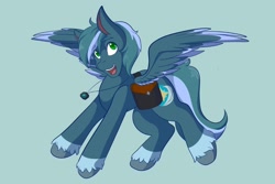 Size: 2048x1366 | Tagged: safe, artist:mscolorsplash, oc, oc only, pegasus, pony, bag, cel shading, coat markings, green background, jewelry, male, necklace, open mouth, open smile, saddle bag, shading, simple background, smiling, socks (coat markings), solo, spread wings, stallion, unshorn fetlocks, wings