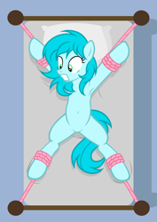 Size: 4227x5960 | Tagged: safe, artist:equestria secret guard, oc, oc only, oc:suxuan, oc:素萱, earth pony, pony, bdsm, bed, belly, belly button, bondage, earth pony oc, featureless crotch, female, gritted teeth, helpless, kidnapped, lying down, mare, on back, on bed, restrained, rope, rope bondage, scared, sexy, solo, spread eagle, spread legs, spreading, teeth, tied down, tied to bed, tied up