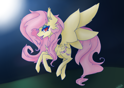Size: 1520x1080 | Tagged: safe, artist:lovelydreams14, fluttershy, bat pony, pony, g4, bat ponified, commission, eyeshadow, female, flutterbat, flying, full moon, looking at you, makeup, mare, moon, night, open mouth, race swap, solo, tongue out