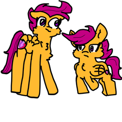 Size: 1000x1000 | Tagged: safe, artist:sweetsterty, scootaloo, pegasus, pony, g4, cheek fluff, chest fluff, female, filly, foal, mare, older, older scootaloo, self paradox, self ponidox, simple background, size difference, the cmc's cutie marks, white background