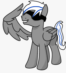 Size: 1100x1200 | Tagged: safe, oc, oc only, oc:tox, pegasus, pony, male, simple background, solo, sunglasses, white background