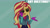 Size: 2000x1123 | Tagged: safe, edit, edited screencap, editor:quoterific, screencap, sunset shimmer, human, equestria girls, equestria girls specials, g4, my little pony equestria girls: better together, my little pony equestria girls: holidays unwrapped, winter break-in, female, solo, sunglasses