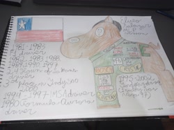 Size: 4000x3000 | Tagged: safe, artist:super-coyote1804, 24 hours of le mans, chile, chile flag, eliseo salazar, formula 1, imsa, indianapolis 500, indy 500, indycar, le mans, looking left, notebook, photo, solo, traditional art