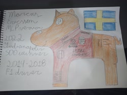 Size: 4000x3000 | Tagged: safe, artist:super-coyote1804, oc, pony, unicorn, formula 1, indianapolis 500, indy 500, indycar, looking left, marcus ericsson, notebook, photo, solo, sweden, traditional art