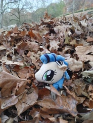 Size: 4624x3468 | Tagged: artist needed, source needed, safe, oc, oc only, oc:milky way, earth pony, pony, female, irl, leaf, leaf pile, leaves, mare, outdoors, photo, plushie, ponies in real life, smiling, solo