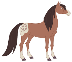 Size: 9861x8611 | Tagged: safe, artist:andoanimalia, lonestar, horse, equestria girls, equestria girls series, friendship through the ages, g4, absurd resolution, appaloosa, blaze (coat marking), clothes, coat markings, description is artwork too, facial markings, mealy mouth (coat marking), simple background, socks, transparent background, unnamed character, vector