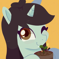 Size: 900x900 | Tagged: safe, artist:talimingi, sprout greenhoof, pony, unicorn, g4, bust, female, las pegasus resident, looking at you, mare, one eye closed, potted plant, simple background, smiling, smiling at you, solo, wink, winking at you, yellow background