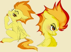 Size: 1204x880 | Tagged: safe, artist:woollyart, spitfire, pegasus, pony, g4, simple background, sitting, solo