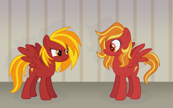 Size: 2400x1500 | Tagged: safe, artist:xnaturalblue, oc, oc only, pegasus, pony, g4, annoyed, clone, old design, orange eyes, orange mane, pegasus oc, red coat, red fur, speedpaint available, surprised, yellow mane