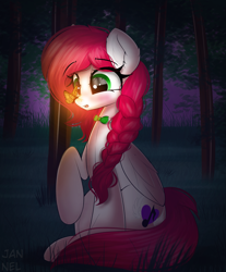 Size: 3149x3812 | Tagged: safe, artist:janelearts, oc, oc only, oc:ellie berryheart, firefly (insect), insect, pegasus, pony, g4, blushing, bowtie, braid, ear fluff, eyelashes, forest, glowing, green eyes, high res, hooves, impressed, long hair, long tail, nature, night, pigtails, sitting, solo, tail, tree, wings