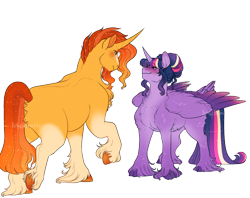 Size: 2400x1900 | Tagged: safe, artist:lesghostie, sunburst, twilight sparkle, alicorn, pony, unicorn, g4, belly fluff, blaze (coat marking), blushing, butt fluff, cheek fluff, chest fluff, cloven hooves, coat markings, colored hooves, colored wings, duo, duo male and female, exclamation point, facial markings, female, flustered, folded wings, gradient mane, gradient tail, gradient wings, hair bun, headcanon in the description, height difference, larger male, lightly watermarked, long fetlocks, looking at each other, looking at someone, looking down, looking up, male, mare, missing cutie mark, multicolored wings, rainbow power, raised hoof, ship:twiburst, shipping, simple background, smaller female, smiling, socks (coat markings), sparkly wings, stallion, standing, straight, tail, transparent background, twilight sparkle (alicorn), unshorn fetlocks, watermark, wings
