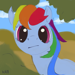 Size: 3000x3000 | Tagged: safe, artist:rapt, rainbow dash, pegasus, pony, g4, colored, flat colors, high res, looking at you, solo