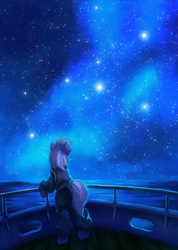 Size: 2140x3000 | Tagged: safe, artist:terrafomer, oc, oc only, earth pony, pony, fanfic:звёзды, clothes, earth pony oc, fanfic art, high res, male, night, ocean, ship, sky, solo, stallion, stars, water