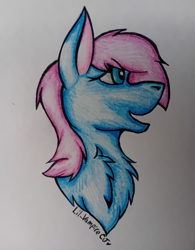 Size: 1562x2000 | Tagged: safe, artist:lil_vampirecj, oc, oc only, earth pony, pony, bust, chest fluff, cute, daaaaaaaaaaaw, female, fluffy, fully shaded, fur, mane, mare, open mouth, portrait, simple background, solo, traditional art, white background